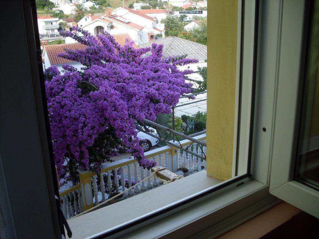 Rooms Neda Rab Town Chambre photo